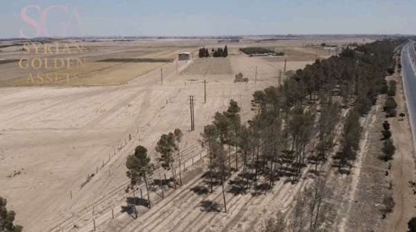 Rare 410-Dunum Strategic Land — Damascus Airport Road, Dual Frontage — Prime for Major Developments - Image 4