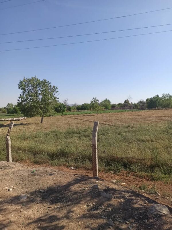 Prime Agricultural Land for Sale – Damascus Airport Road (Next to The Cinematic City) – Convertible to Tourism Use - Image 3
