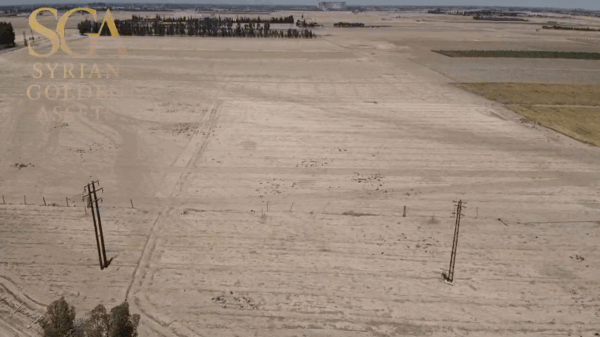 Rare 410-Dunum Strategic Land — Damascus Airport Road, Dual Frontage — Prime for Major Developments - Image 5
