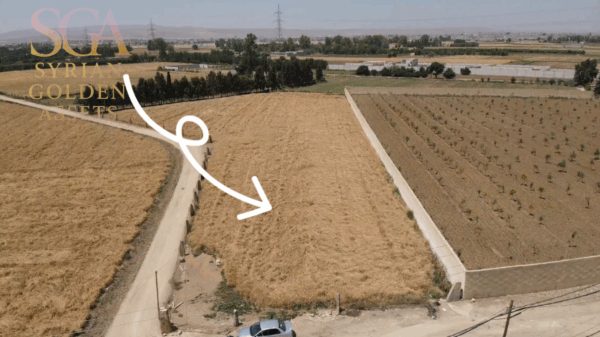 Premium 9-Dunum Plot — Steps from Damascus Conference Palace & Golf Course