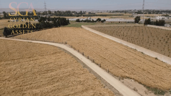 Premium 9-Dunum Plot — Steps from Damascus Conference Palace & Golf Course - Image 3