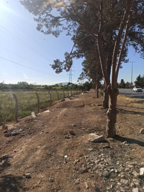 Prime Agricultural Land for Sale – Damascus Airport Road (Next to The Cinematic City) – Convertible to Tourism Use - Image 2