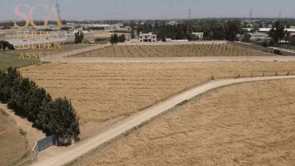 Premium 9-Dunum Plot — Steps from Damascus Conference Palace & Golf Course - Image 4