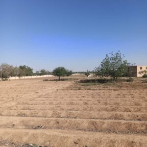 Strategic Land for Sale – Damascus Airport Road (Aqraba Junction) – Convertible to Tourism Use