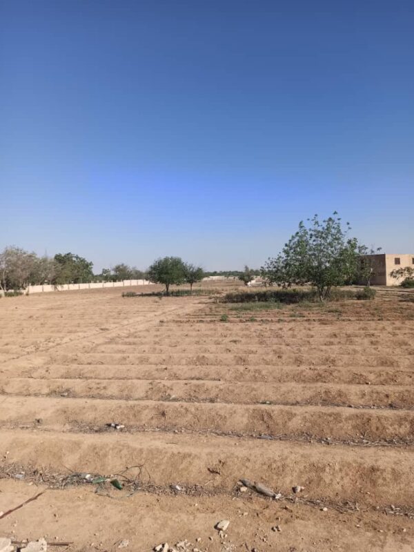 Strategic Land for Sale – Damascus Airport Road (Aqraba Junction) – Convertible to Tourism Use