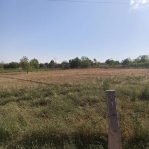Prime Agricultural Land for Sale – Damascus Airport Road (Next to The Cinematic City) – Convertible to Tourism Use