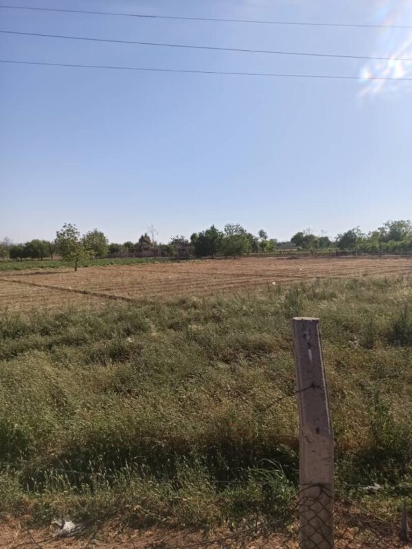 Prime Agricultural Land for Sale – Damascus Airport Road (Next to The Cinematic City) – Convertible to Tourism Use