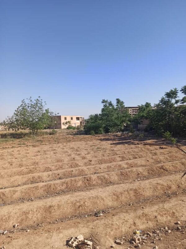 Strategic Land for Sale – Damascus Airport Road (Aqraba Junction) – Convertible to Tourism Use - Image 2