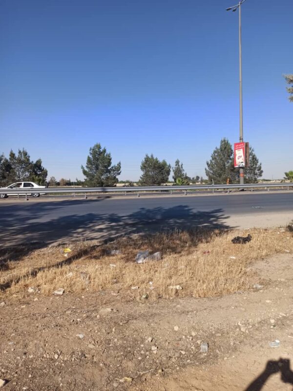 Prime Agricultural Land for Sale – Damascus Airport Road (Next to The Cinematic City) – Convertible to Tourism Use - Image 5