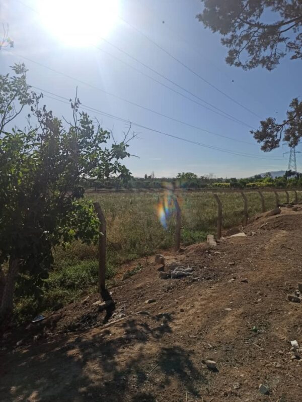 Prime Agricultural Land for Sale – Damascus Airport Road (Next to The Cinematic City) – Convertible to Tourism Use - Image 6