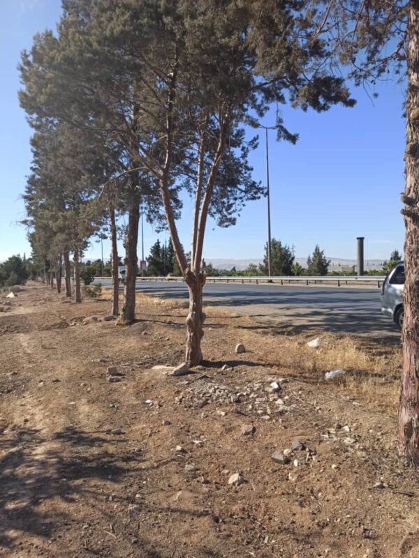 Prime Agricultural Land for Sale – Damascus Airport Road (Next to The Cinematic City) – Convertible to Tourism Use - Image 9