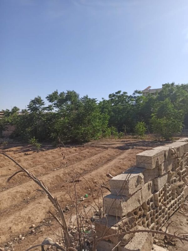 Strategic Land for Sale – Damascus Airport Road (Aqraba Junction) – Convertible to Tourism Use - Image 4